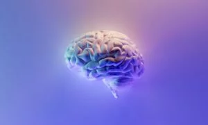AI sempre più performanti: Algoritmi che creano input per altri algoritmi.