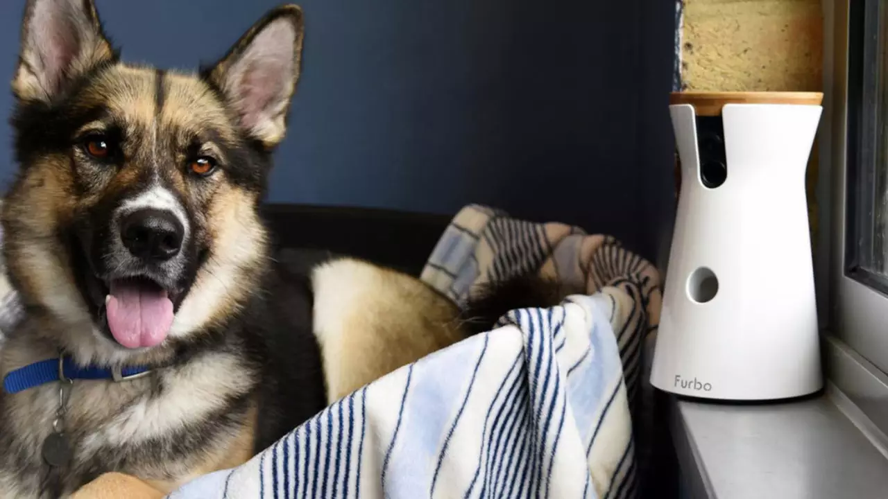 B939cf 6209f6ec7ce443778a3b182410180b22 Mv2