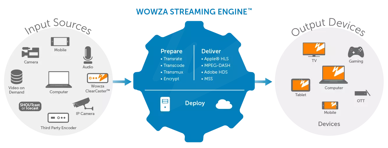 B939cf 78bba0be6421495f9b677490e9827a39 Mv2