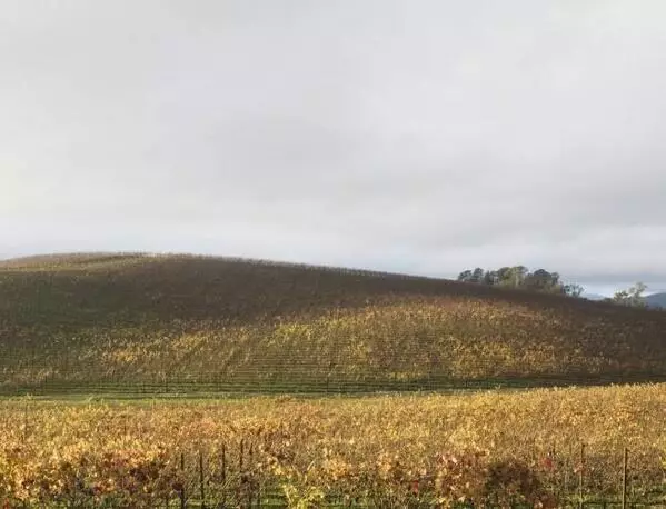 B939cf 92e16ed0574b4a71ba904661286242ac Mv2