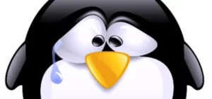 StackRot: La pericolosa vulnerabilità di Linux che mette a rischio i tuoi dati
