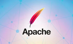 Critical Apache Tomcat Vulnerability CVE-2024-34750 Could Bring Your Server to a Halt!