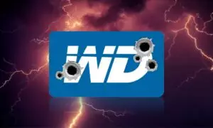 Western Digital: un attacco informatico da record! 6 settimane di blocco per lo store online