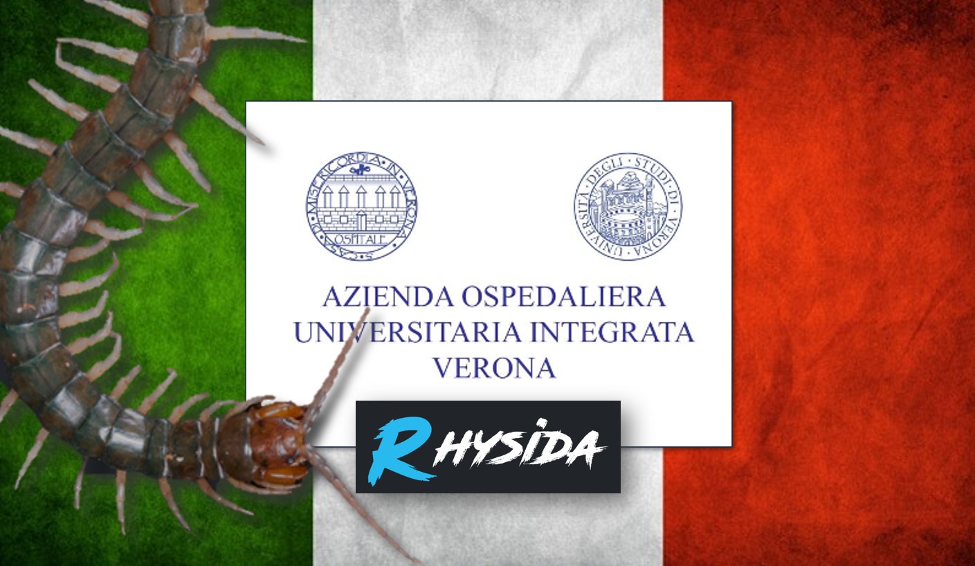 Attacco Hacker all'Azienda ospedaliera universitaria integrata di Verona