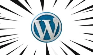 900.000 siti WordPress a rischio per 24 ore per un bug di WPvivid Backup & Migration
