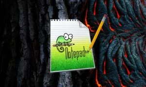 Supply Chain Attack: come è stato compromesso  Notepad++ tramite il CVE-2025-15556