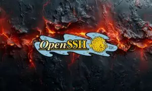 300 Byte e un Pacchetto anonimo per mandare in crash OpenSSH: il bug critico e la Soluzione