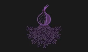 OnionPoison: il browser Tor malevolo che ha spiato gli utenti cinesi per 3 anni