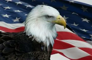 Potential Compromise of a U.S. Military Database