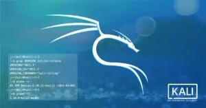 Esce Kali Linux 2024.4! 14 nuovi strumenti e il futuro dell’hacking su Raspberry Pi!
