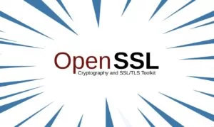 OpenSSL: 12 bug di sicurezza rilevati tra i quali una vulnerabilità critica