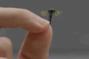 Miniaturized Military Drone, Mosquito-Sized Model Arrives and China Offers It