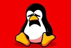 Critical Vulnerability in the Linux Kernel: A New Privilege Escalation