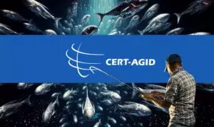 Simulazioni di Phishing: 5 consigli per evitare  i falsi positivi dal CERT-AgID