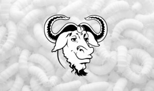 Vulnerabilità critica in GNU Wget2: gli aggressori possono sovrascrivere file. 8.8 di score