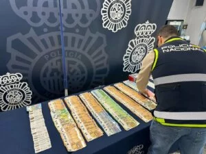 Black Axe, la banda criminale nigeriana smantellata in Spagna. 34 arresti