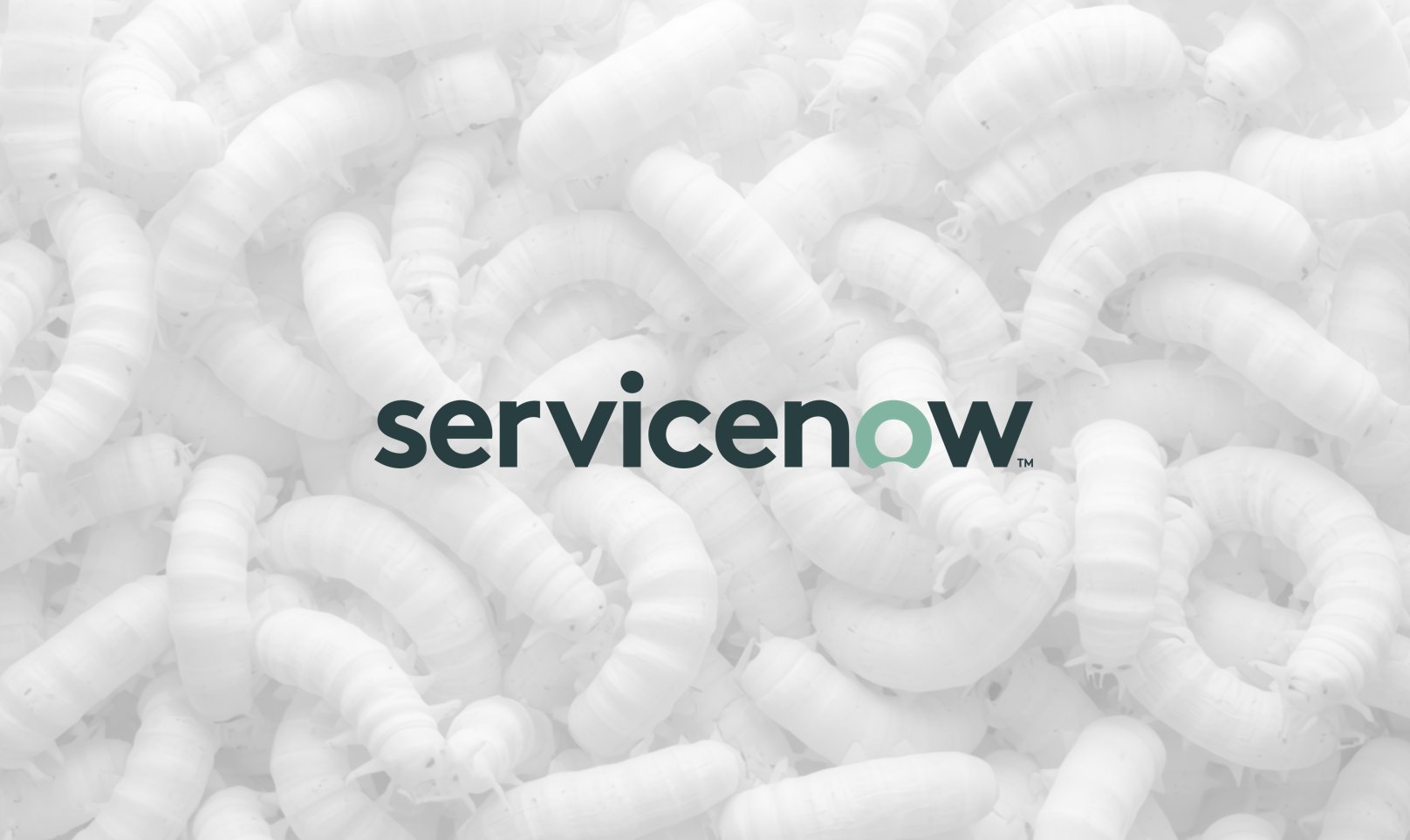 Vulnerabilità critica in ServiceNow: i rischi sono lo spoofing dell’identità