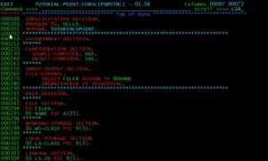 Ritorno al COBOL: L’Italia cerca esperti. Perché questo linguaggio è ancora fondamentale?
