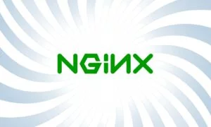 Nginx sotto attacco: l’exploit uscito la mattina e la violazione all’ora di pranzo!