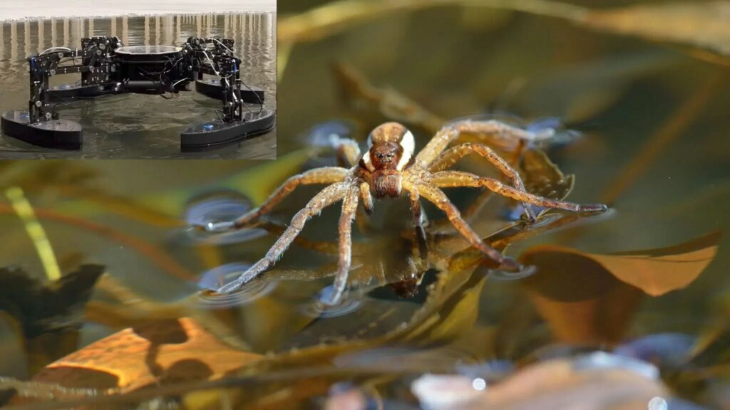 Drone futurista ispirato a ragno d'argento con quattro gambe fluttuanti e propeller, salvando persone annegate in un lago tranquillo mediante tecnologia Raspberry Pi 4B e Arduino Nano.