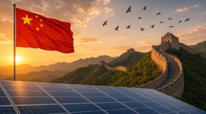 In Cina gli uccelli hanno cominciato a scomparire: l’energia solare è sospettata
