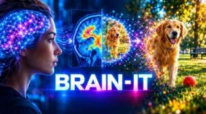 Quello che vedi nel cervello diventa un’immagine: la nuova frontiera dell’AI